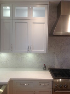 Custom Kitchen Cabinets Palmetto Bay 012